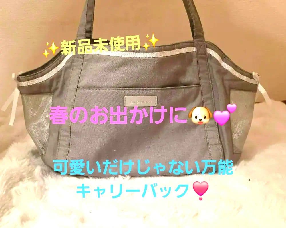 Luxembourg birdie ペット用キャリーL