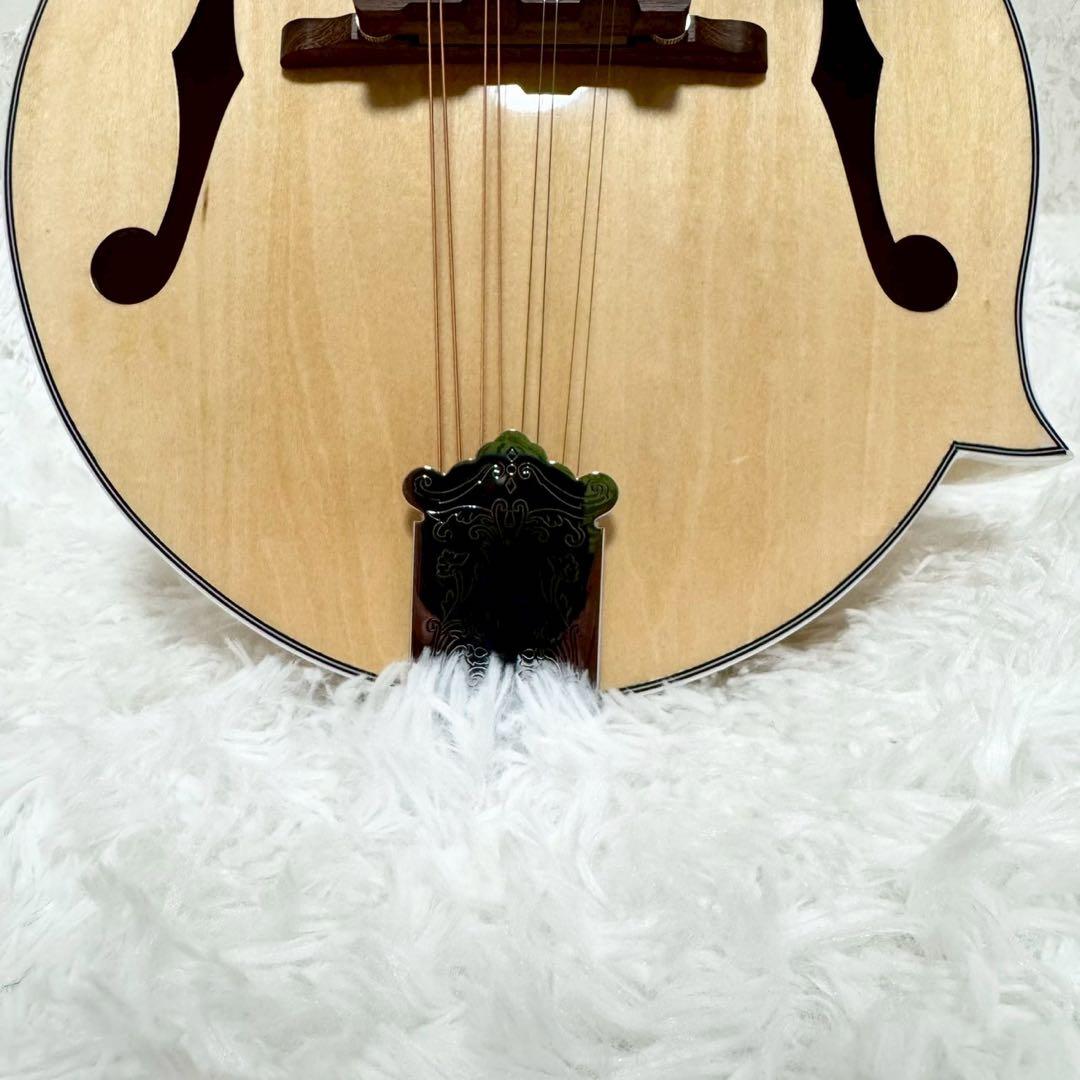 『希少美品』Mylowe フラットマンドリン ハードケース付き