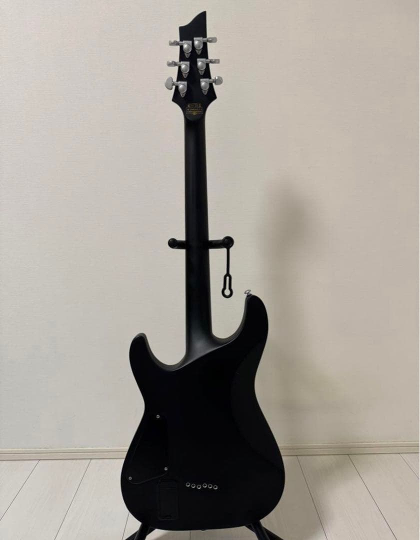 エレキギターシェクターSCHECTER Damien