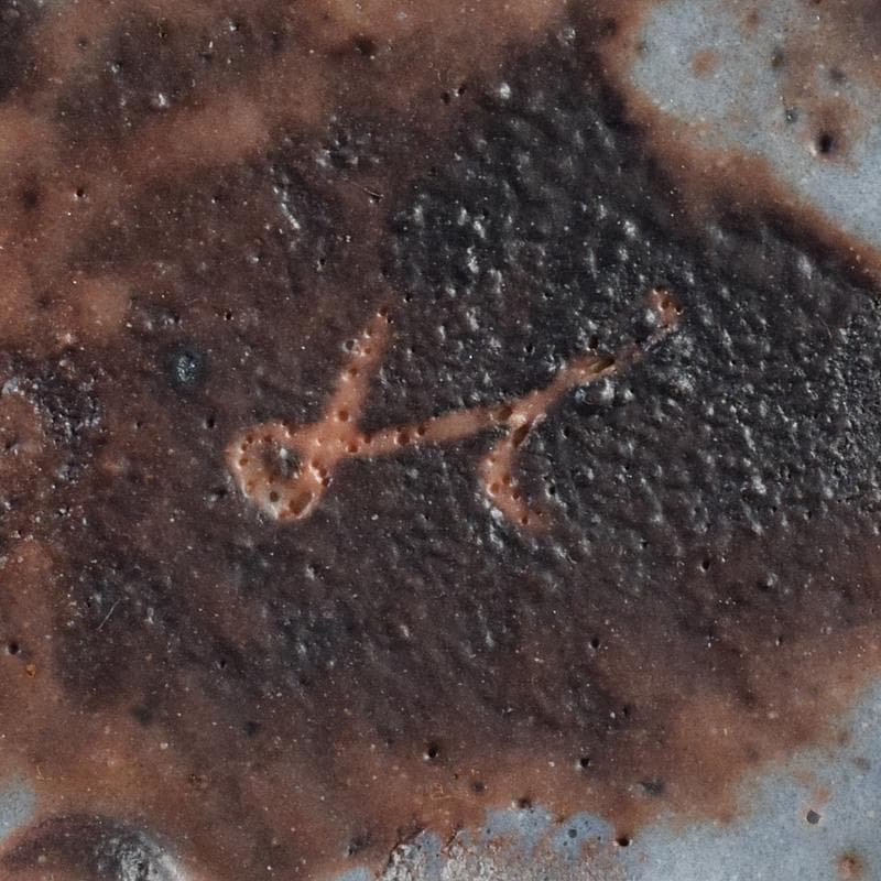 和食器　美土里窯　鼠志野　草文　向付　五客　共箱　M　R9246B