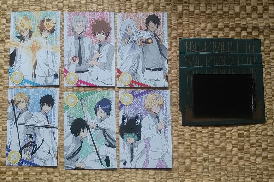 【匿名配送】家庭教師ヒットマンREBORN！ リボアニ ポストカード 封筒付き