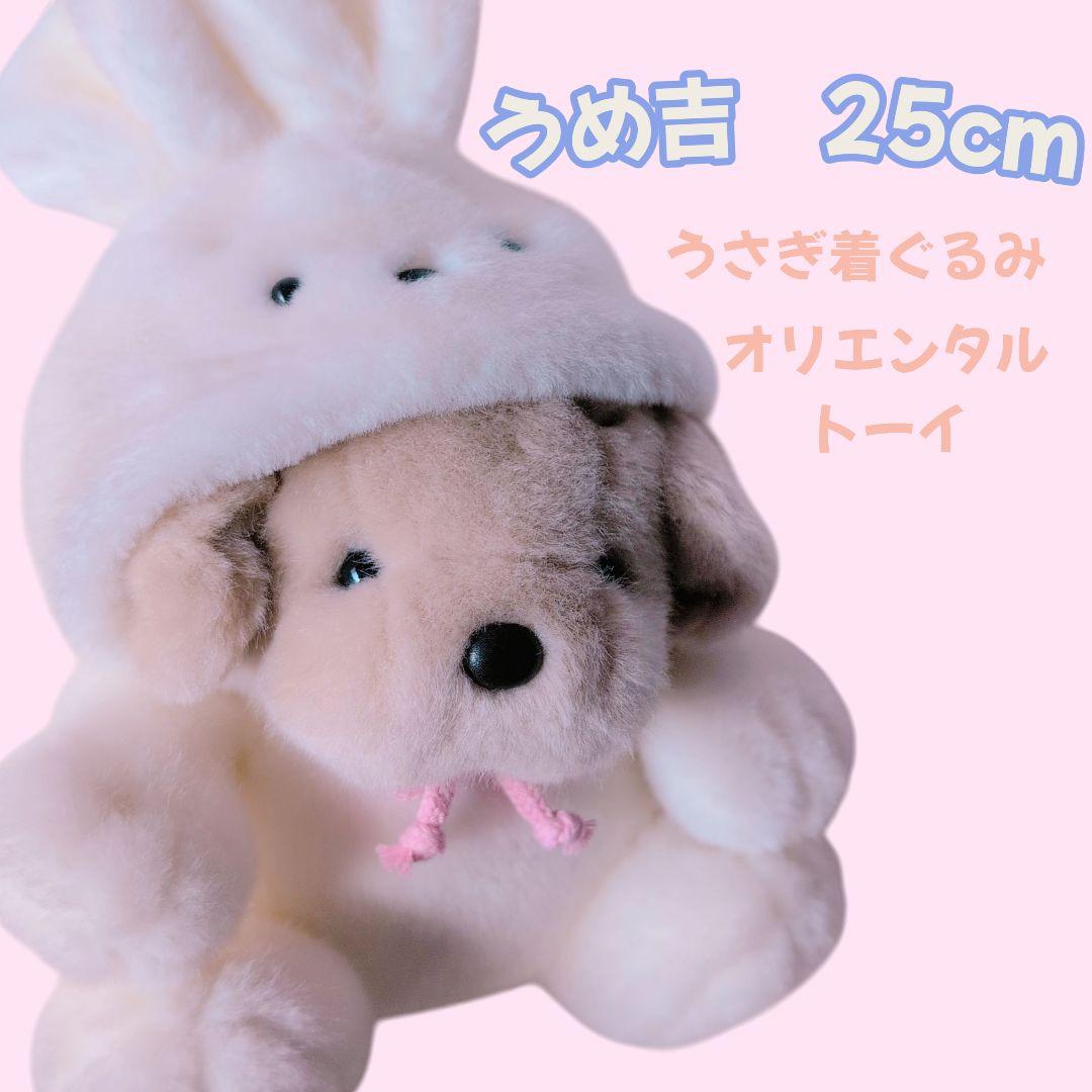 【うめ吉】茶色　うさぎ着ぐるみ　ぬいぐるみ　オリエンタルトーイ かわいい