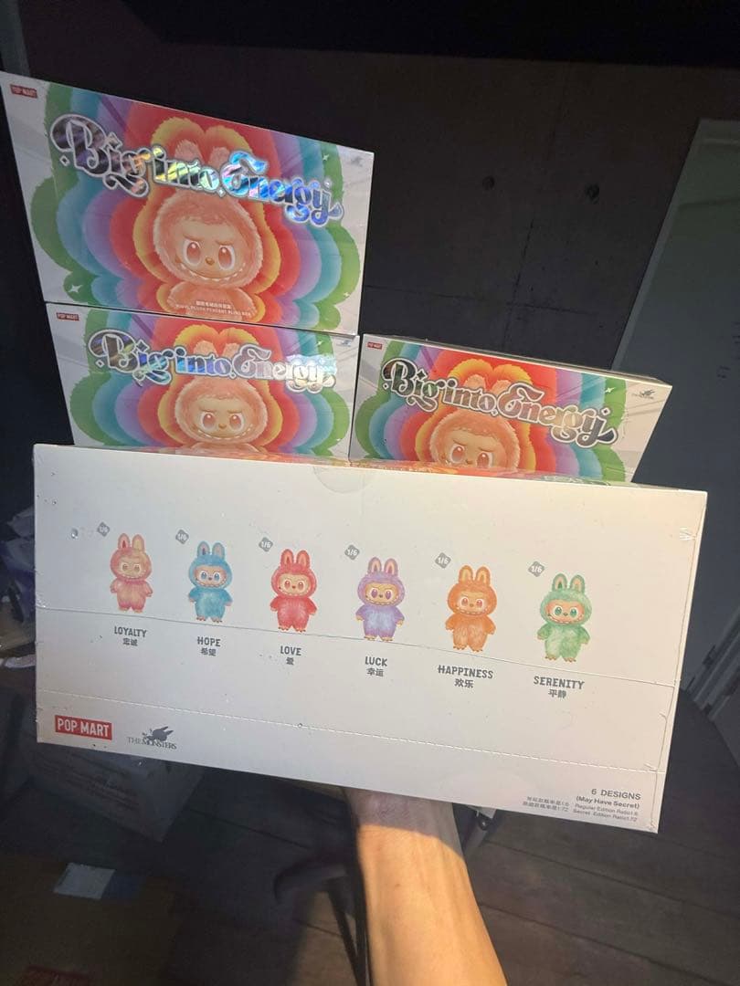 未開封・正規品　ラブブ Big into Energy アソートボックス 12個