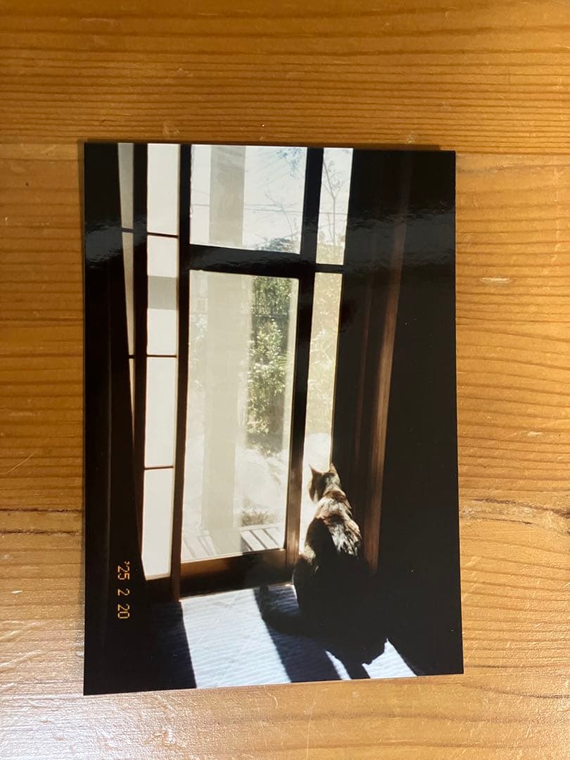 【動作確認済み】PENTAX ESPIO 120Mi コンパクトカメラ