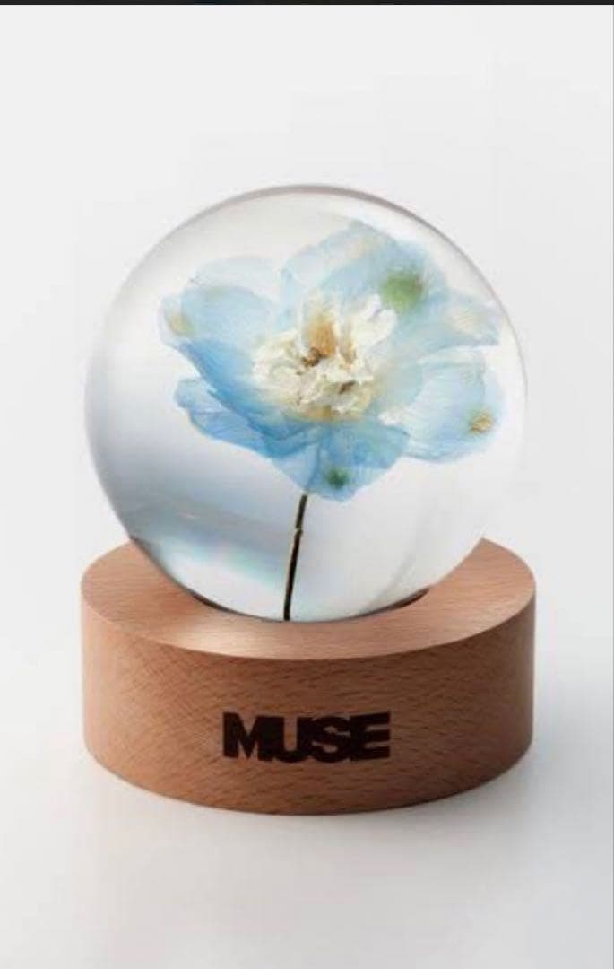 MUSE ペーパーウェイト