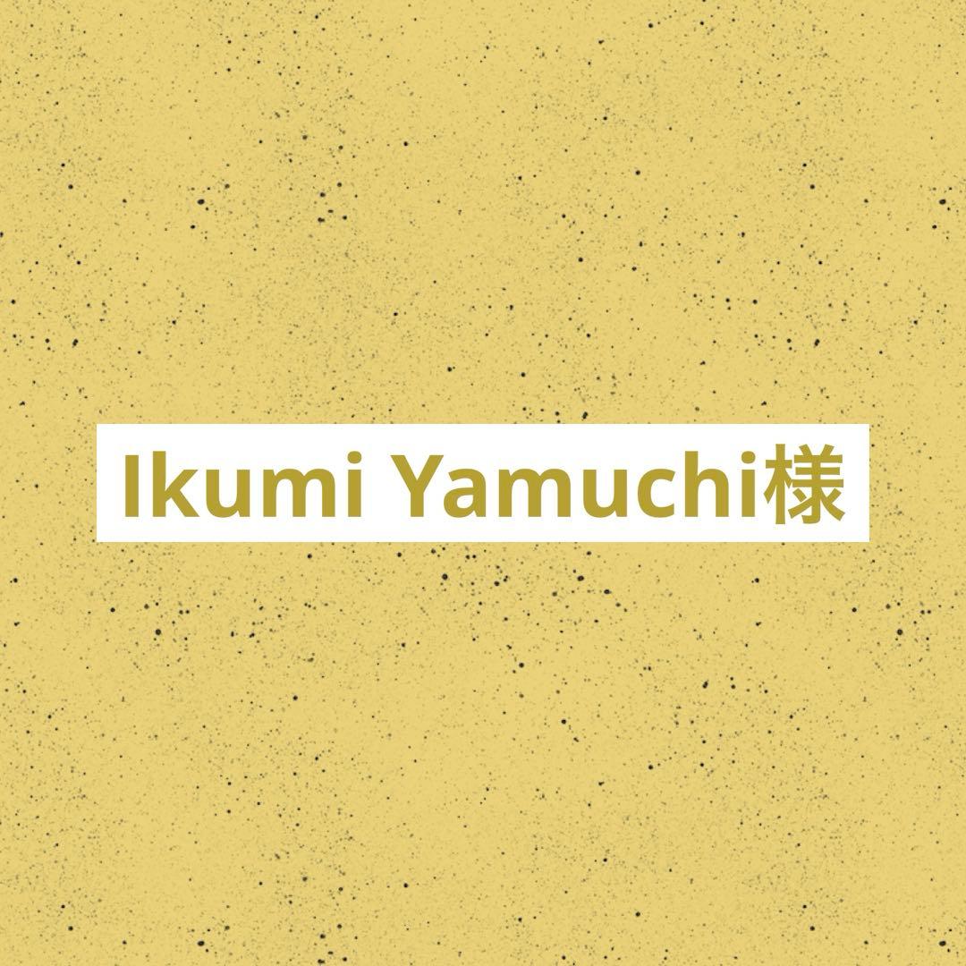 Ikumi Yamuchi リクエスト 30点 まとめ商品