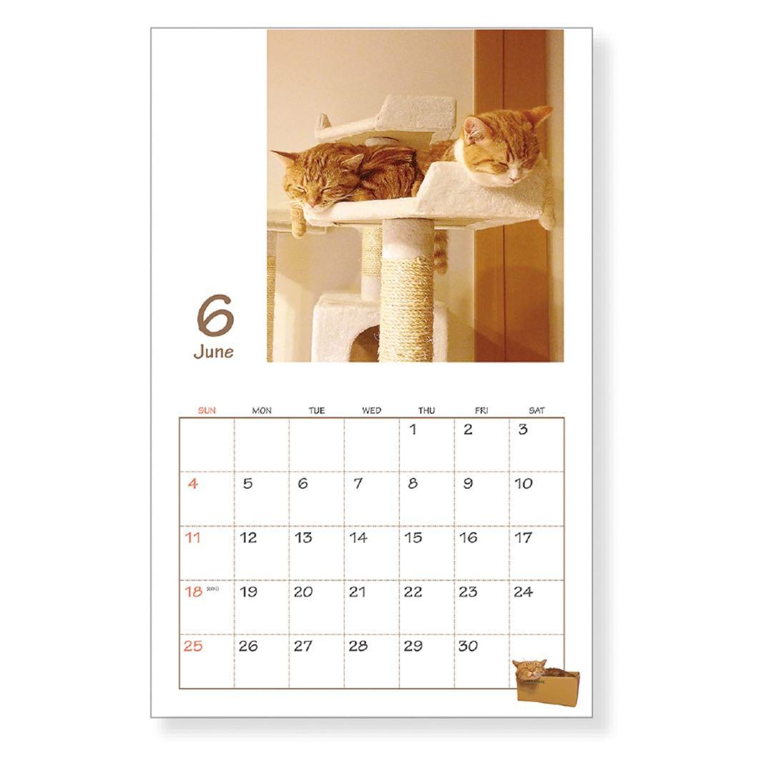 2023年　茶太郎ときなこ　壁掛け　カレンダー