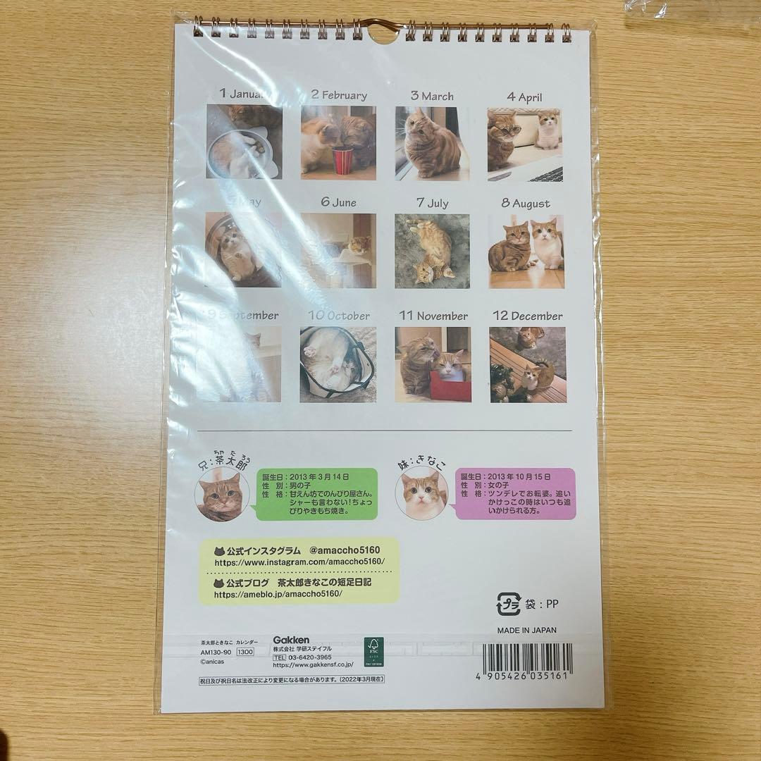 2023年　茶太郎ときなこ　壁掛け　カレンダー