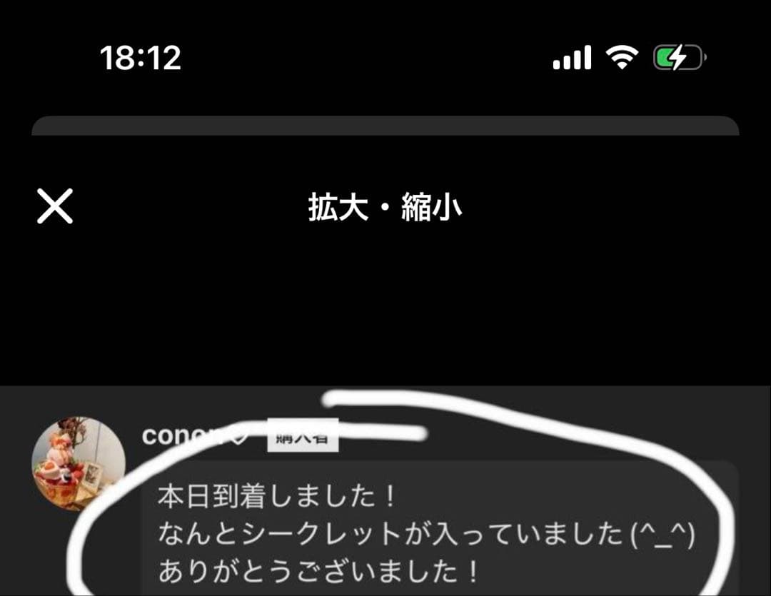 正規品　LABUBU らぶぶ　未開封　ぬいぐるみ 40個