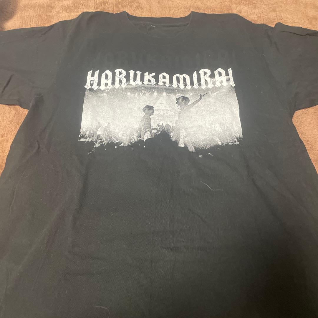 ハルカミライ Tシャツ XL