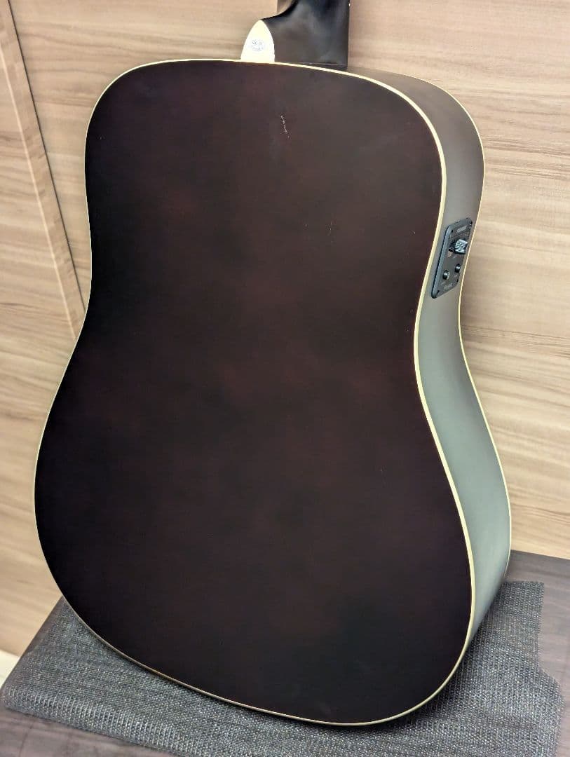 エレアコ Recording King RDS-9-12-FE5-TS 12弦