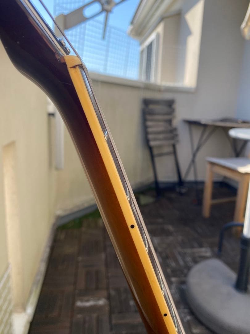 Aria proII LS-500(ジャパンヴィンテージ/レスポールタイプ)