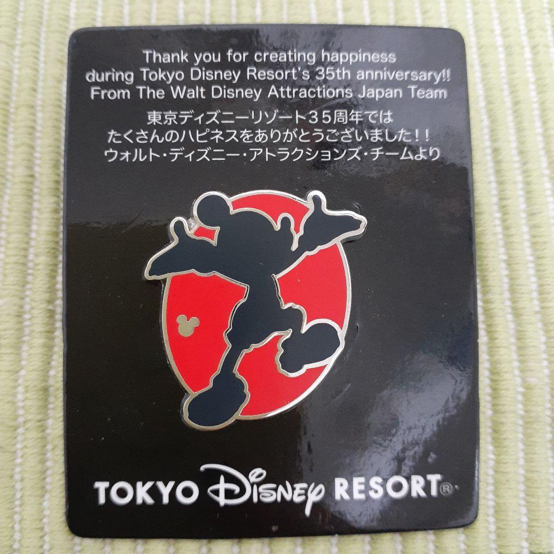 ディズニー　ピンバッジ　35周年　アトラクション　キャスト　ミッキー　限定　レア