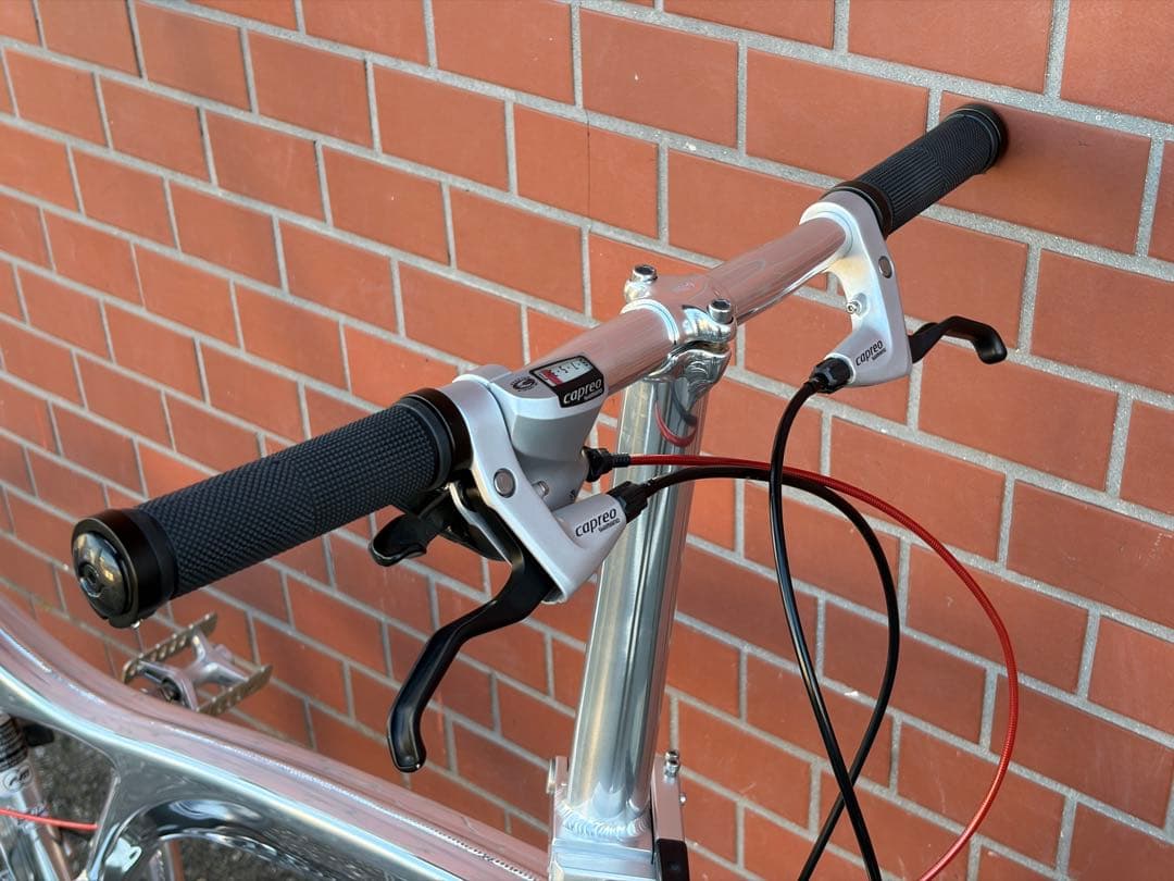 R&M Birdy BD-1 Speed ハイポリッシュ カスタム