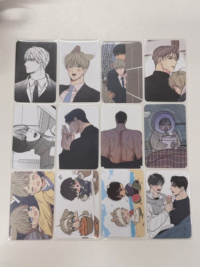 韓国BL 恋愛制限区域 日刊アルバ 完全12枚セット