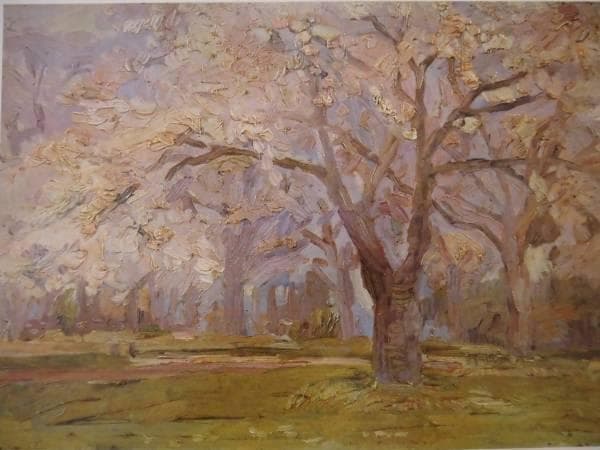 坂本　繁二郎、桜、希少な画集より、新品額装付