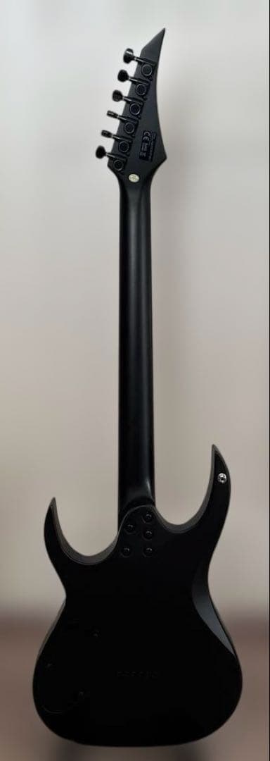 Solar エレキギター スキャロップ加工(素人加工)