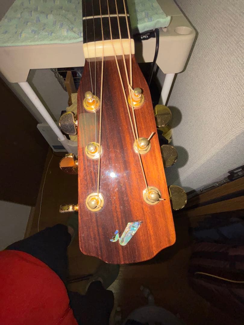 Morris M-82 + LR Baggs M1 搭載 純正ソフトケース付き