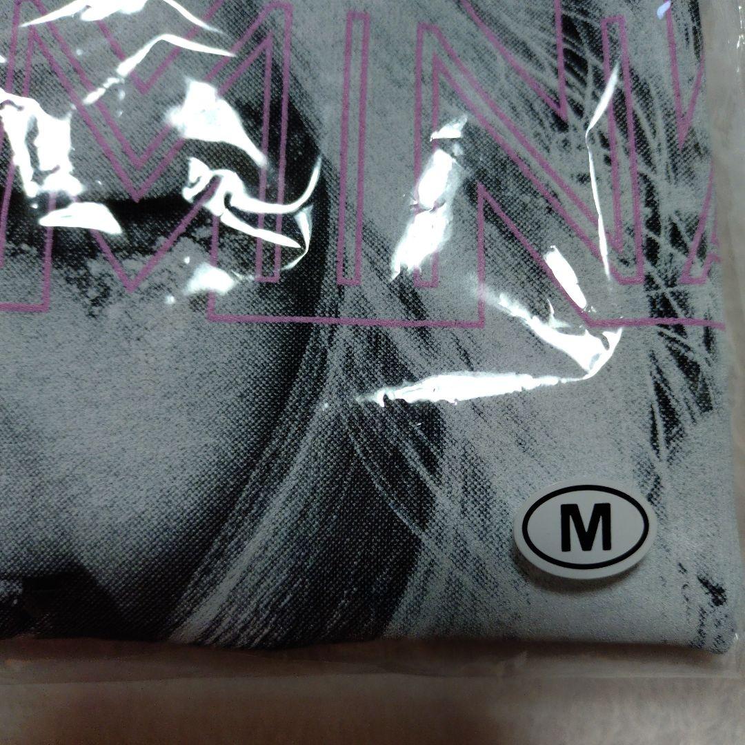 ちゃんみな Ｔシャツ ブラック М