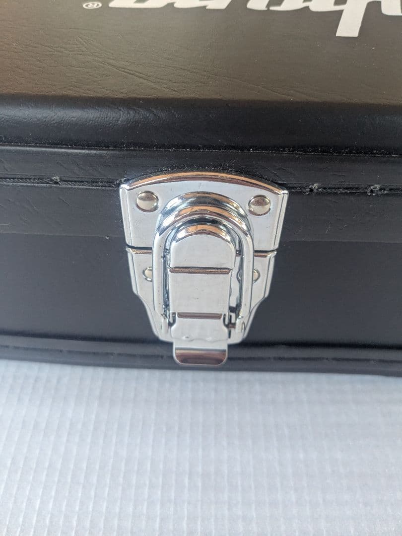 Epiphone ギターケースGREENDAYモデル　レスポールジュニア用