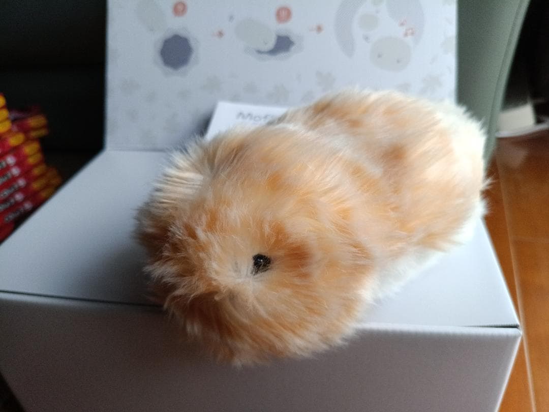 CASIO AIペット Moflin ゴールド PE-M10GD