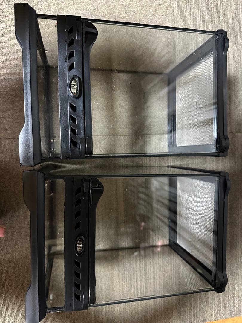 エキゾテラ　グラステラリウム2個セット　値下不可