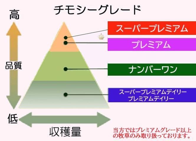 【12/30まで】US産 チモシー 50kg ２番刈り ソフトSプレミアム