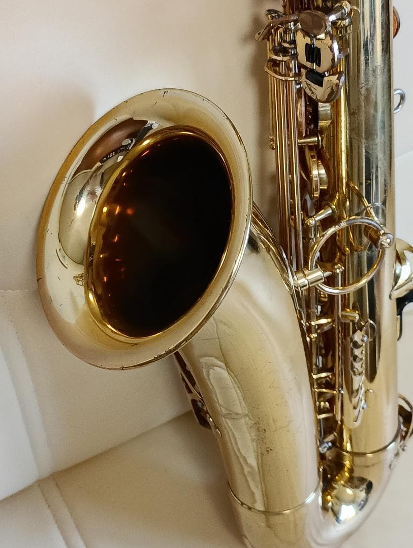 ヤナギサワテナーサックスT-50