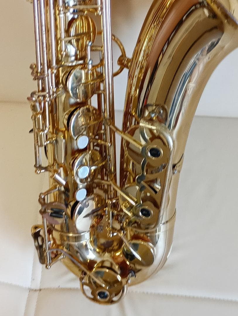 ヤナギサワテナーサックスT-50