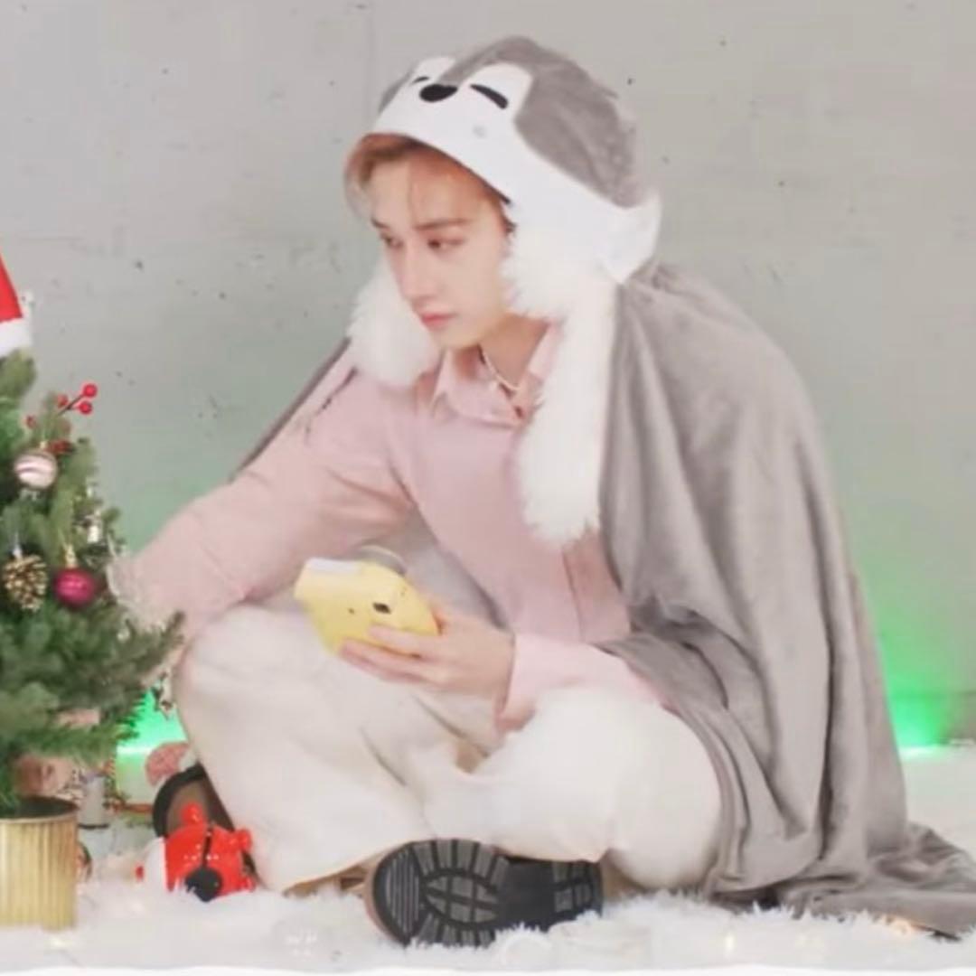 Straykids ウルフチャン まとめ売り 10点　スキズ　バンチャン