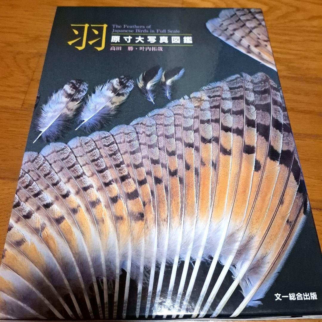 羽 原寸大写真図鑑　高田勝/著 叶内拓哉/著　ポスター付録付き