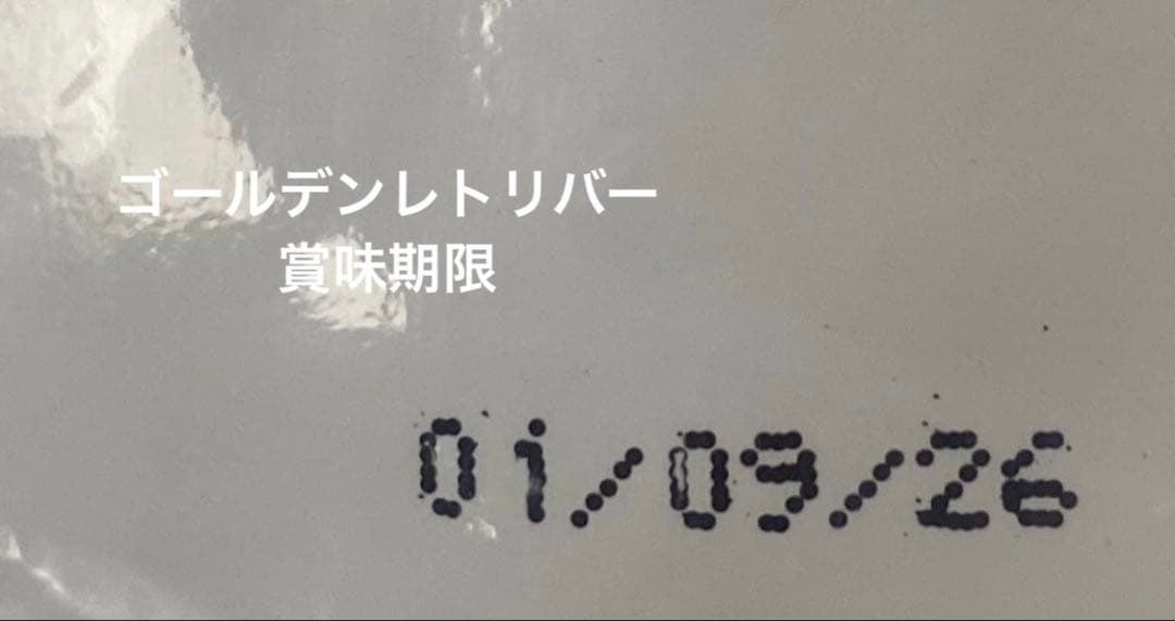  CANIN ゴールデンレトリバー 12kg