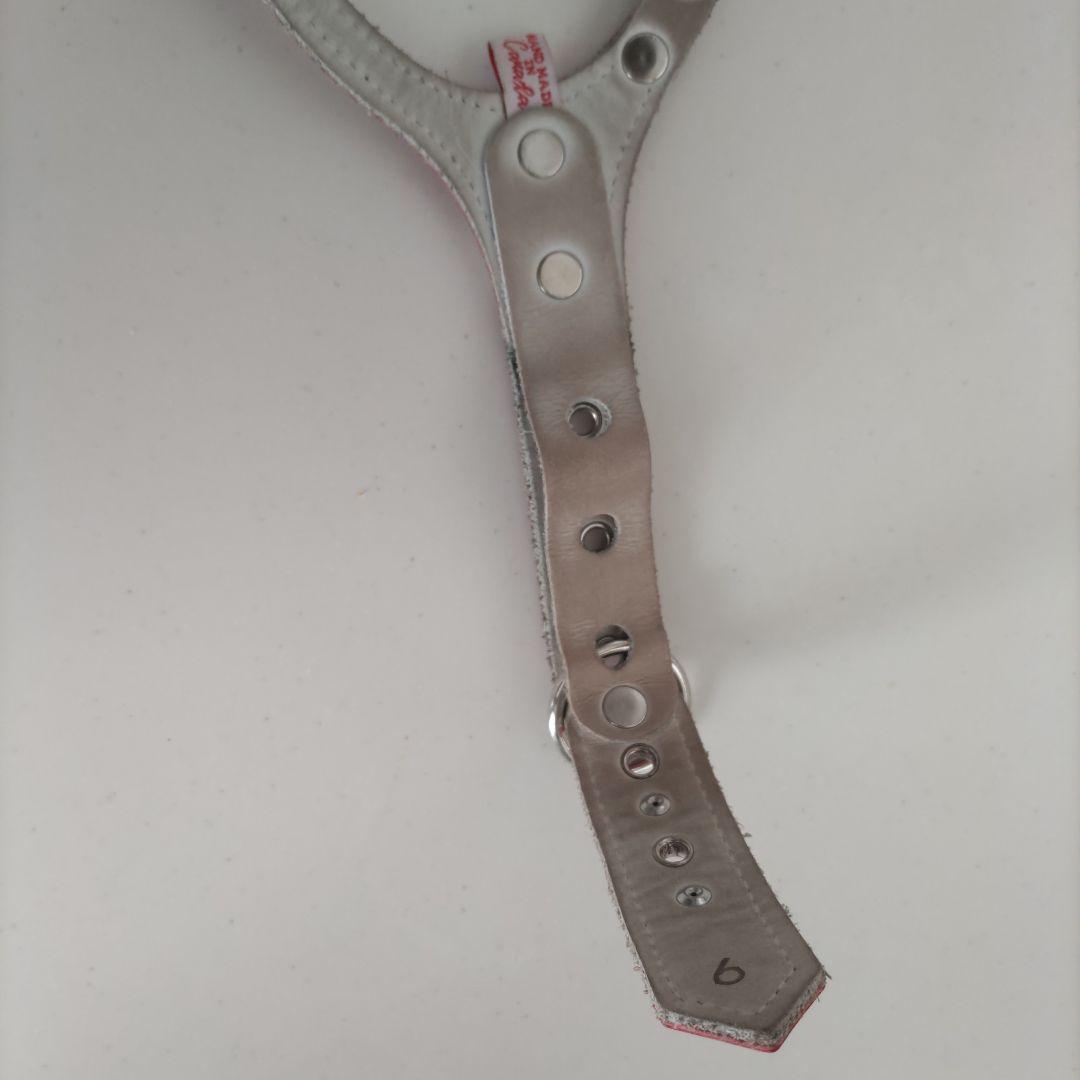 バディベルト ハ－ネスBBベルト ６号エナメル！レッド スワロフスキー付き