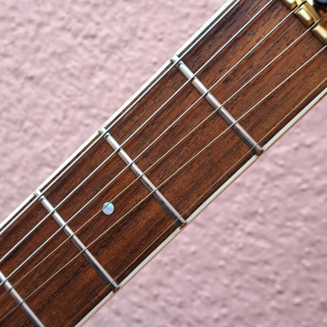 ■FERNANDES FR-75 F.G.I. PRO フェルナンデス