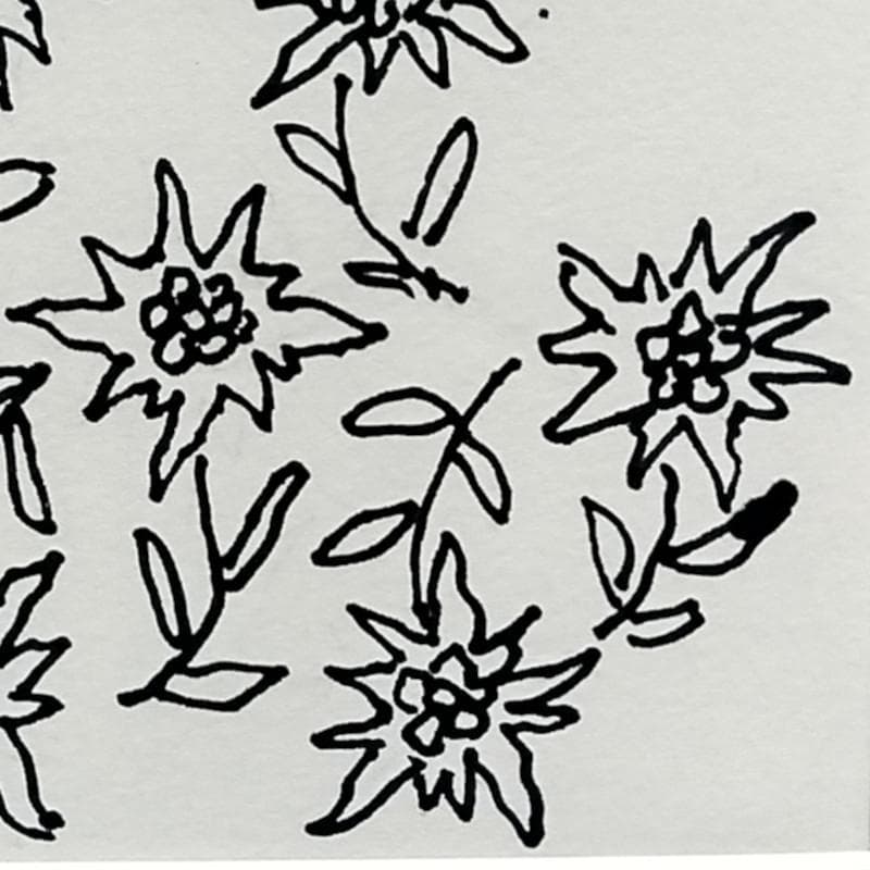 ☆坂本直行☆「 ホソバヒナウスユキソウ 」ペン画　インチサイズ　未使用！