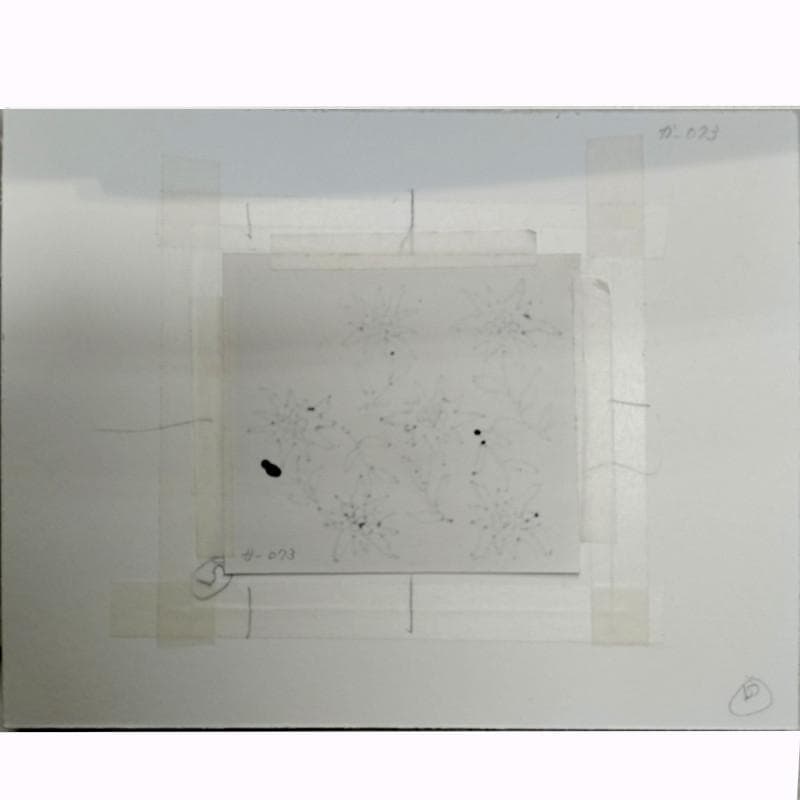 ☆坂本直行☆「 ホソバヒナウスユキソウ 」ペン画　インチサイズ　未使用！