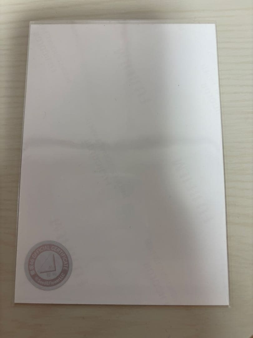 櫻坂46 村井優 直筆 サイン 生写真 ヨリ