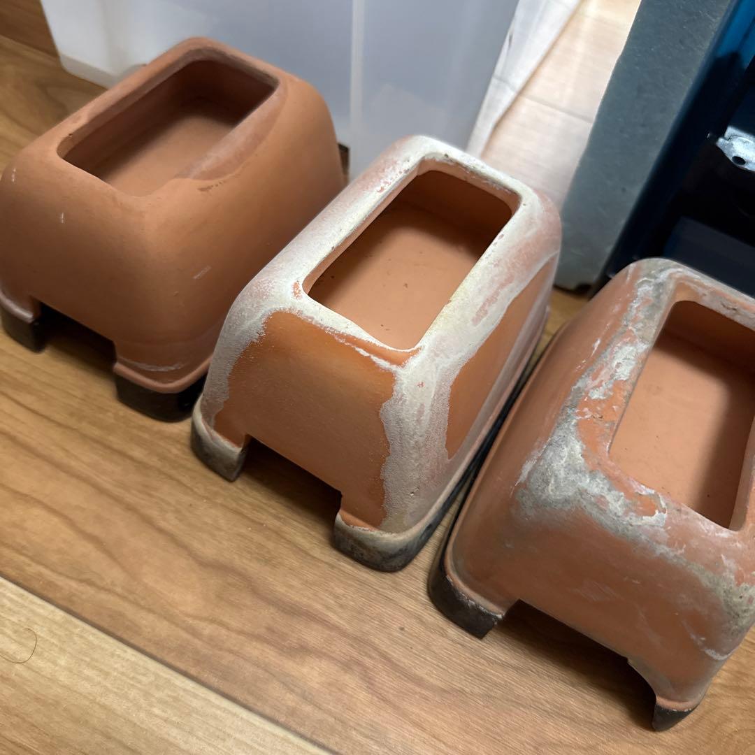 GEX EXOTERRA グラステラリウム ナノキューブ レオパ飼育セット