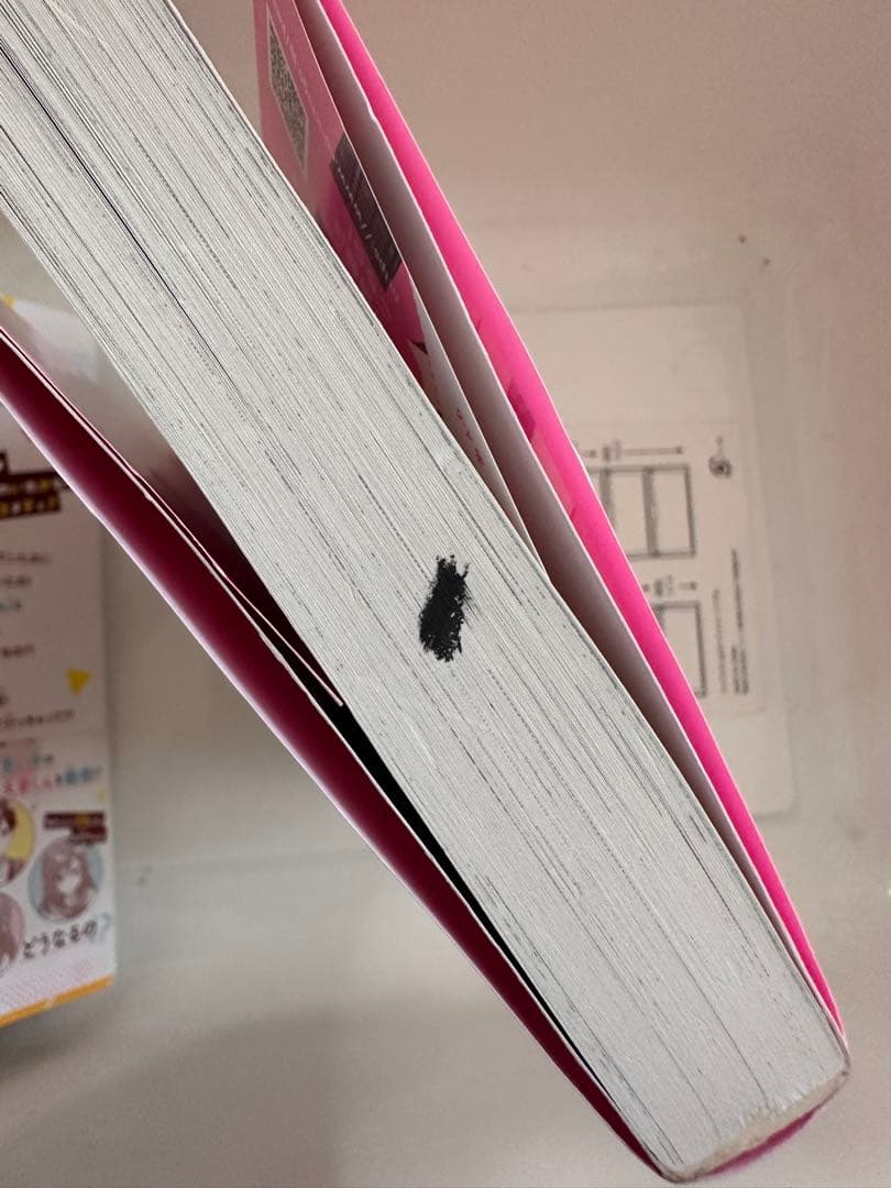 野いちごジュニア文庫⭐︎溺愛⭐︎総長さま⭐︎ふたごシリーズなど41冊セット‼︎