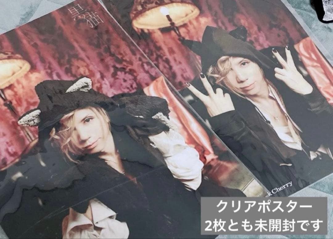 【美品】 Acid Black Cherry ポスター 10点