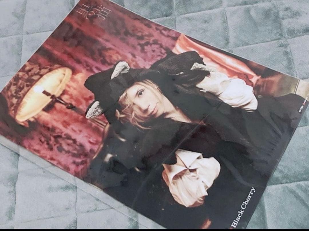 【美品】 Acid Black Cherry ポスター 10点