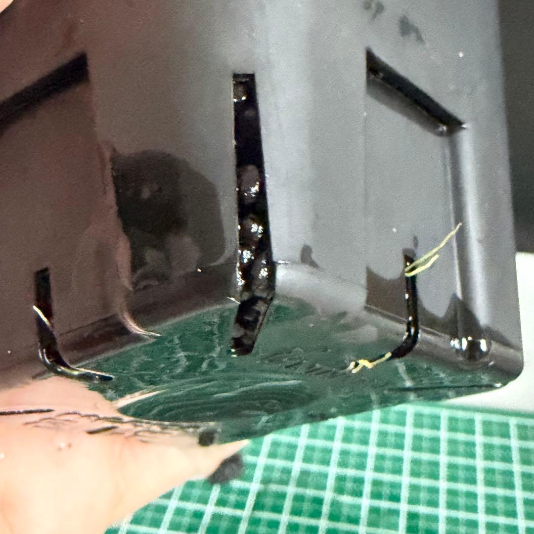 Bucephalandra Motleyana / Padawan 水上葉