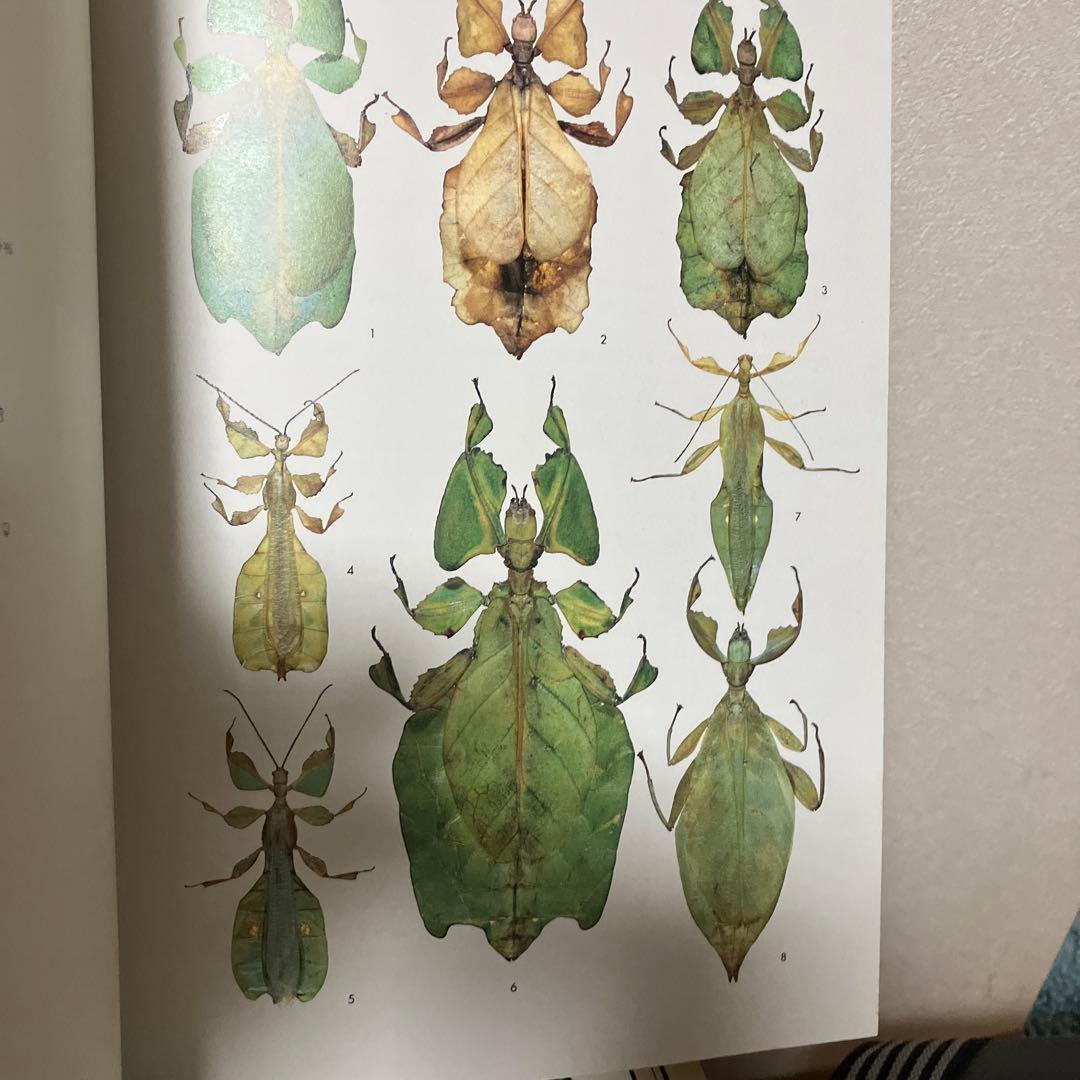 世界の昆虫1〜6図鑑