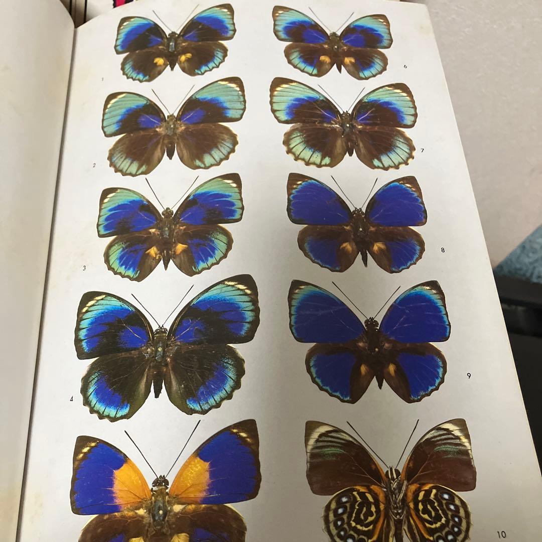 世界の昆虫1〜6図鑑