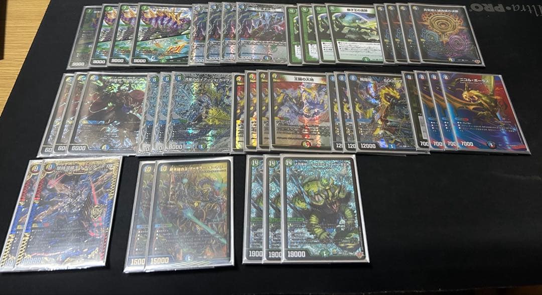 5c王闘の大地　デッキ