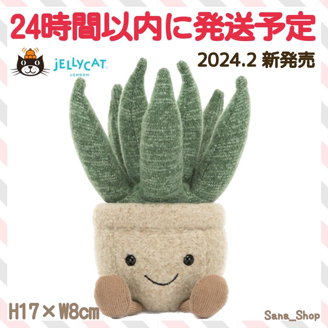 廃盤　新品　ジェリーキャット　アロエ　植物　多肉植物　アロエベラ　観葉植物　緑