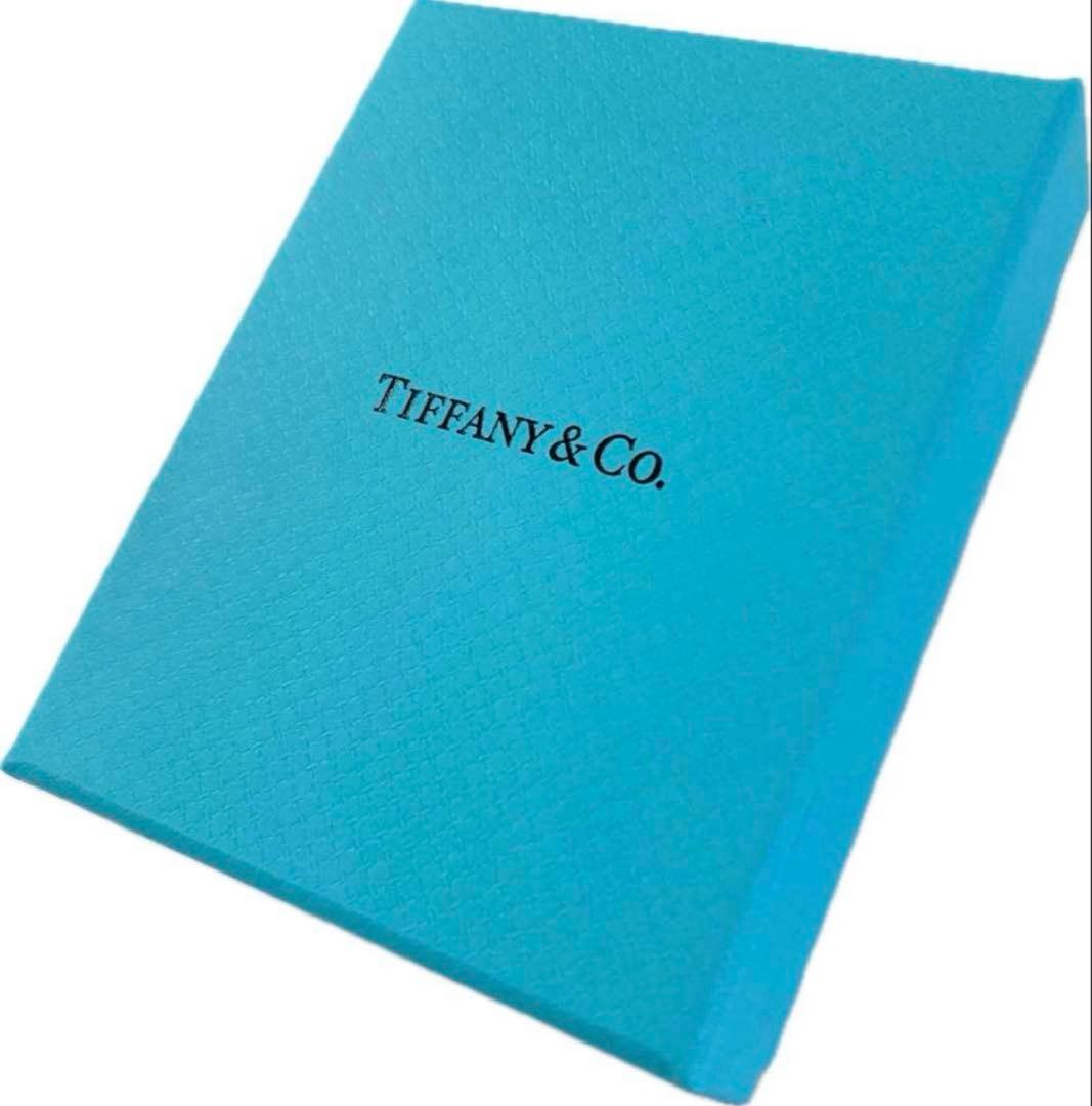 現行品Tiffany ティファニー　空箱　巾着　取扱説明書