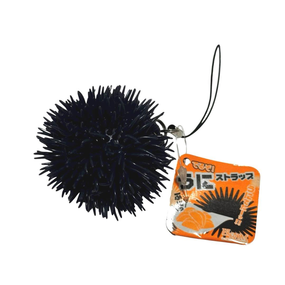 ダグ付き‼️ブルーム　オールドブルーム　BLOOM ウニ　軍艦