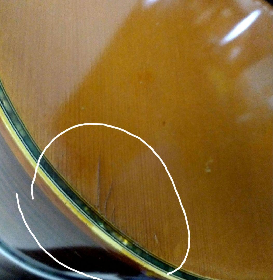 TAKEHARU GUITAR　WT-250　made in Japan