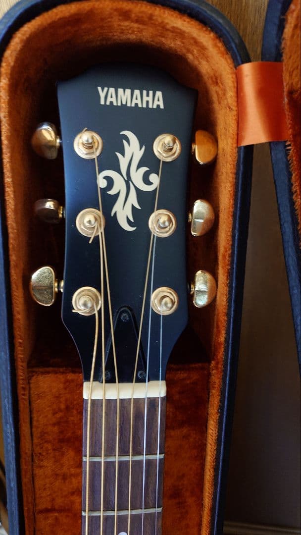 apx-6a YAMAHA　エレアコ